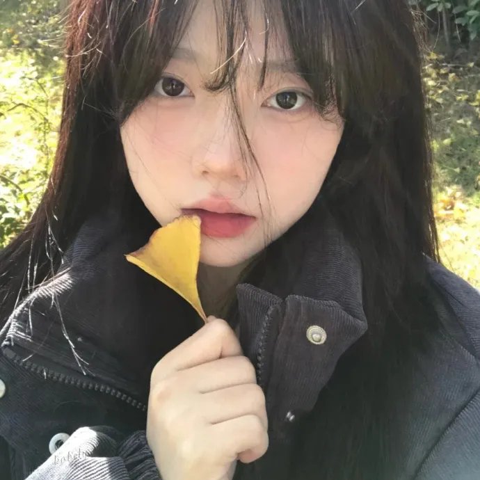 美丽的岛屿