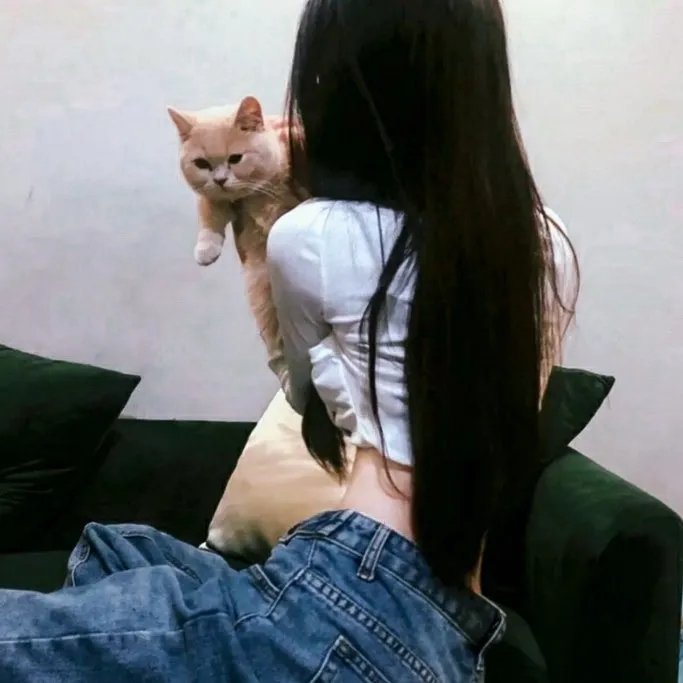 猎鹰悍将